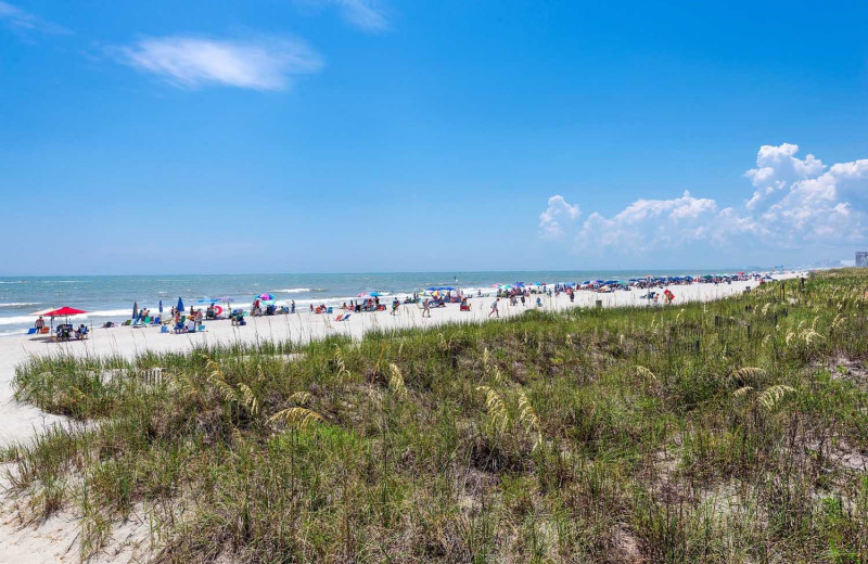 Beach at Condo World.