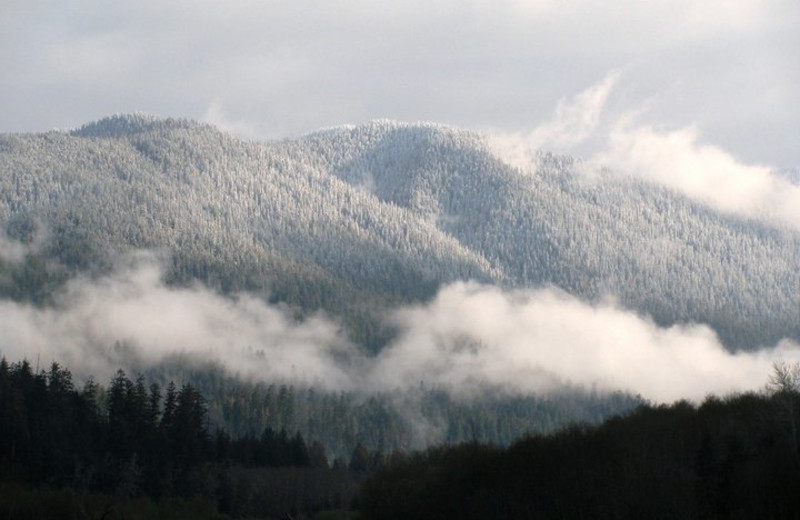 Mountain view at Rain Forest Resort.
