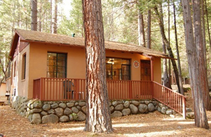 The Redwoods In Yosemite Yosemite National Park Ca Resort