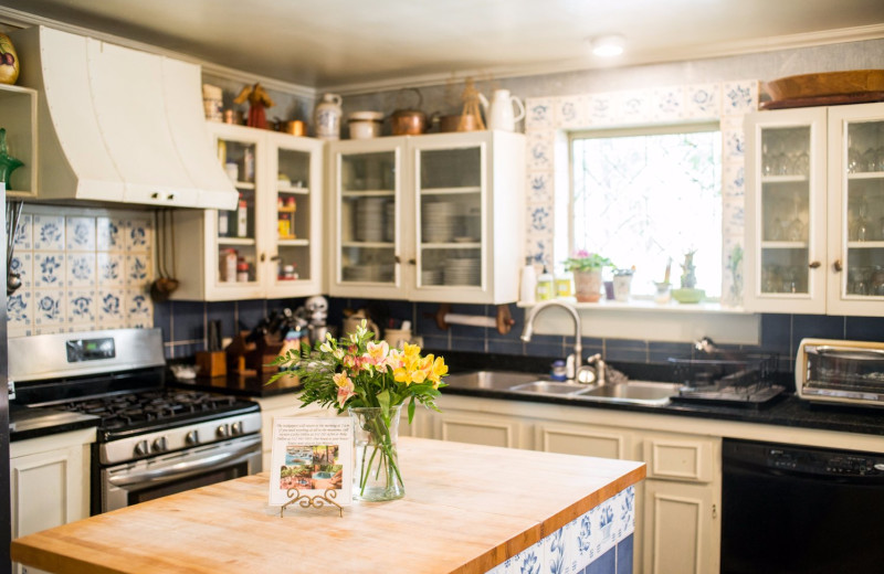 Kitchen at Crystal River Inn.