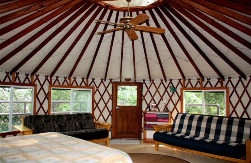 Yurt at Rainbow Hearth Sanctuary & Retreat Center.