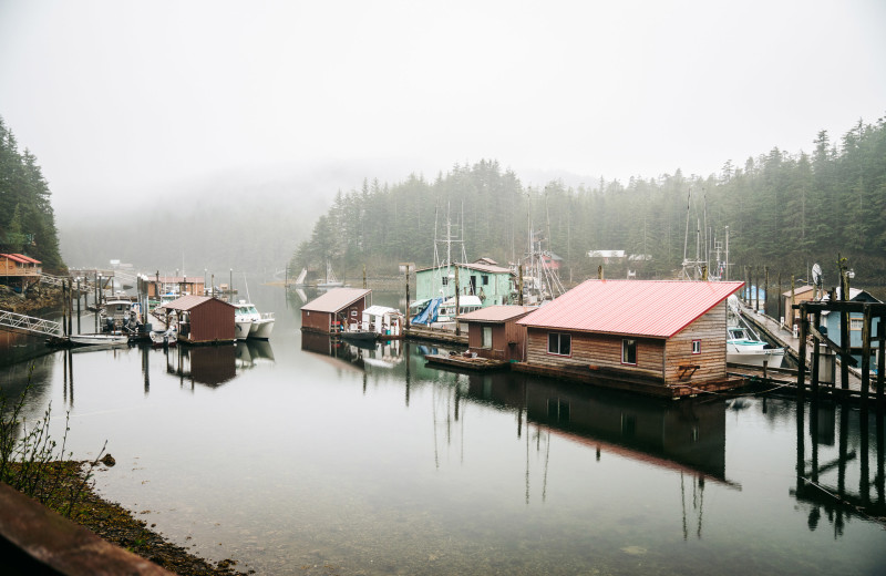 Marina at Elfin Cove Resort.