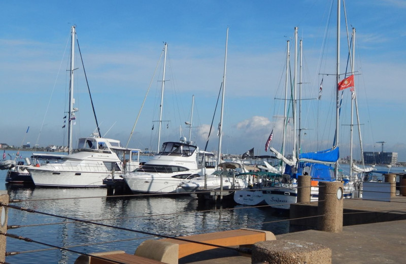 Marina at Moody Gardens Hotel Spa & Convention Center.