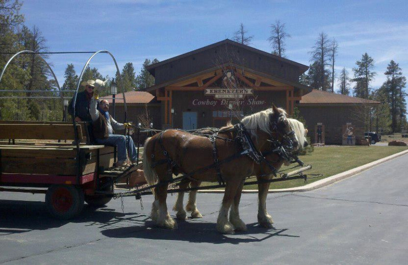 Horse wagon ride at Best Western Bryce Canyon Grand Hotel.
