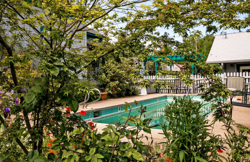 Pool at Shrew's House.