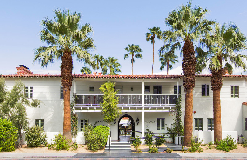 Exterior view of Colony Palms Hotel.