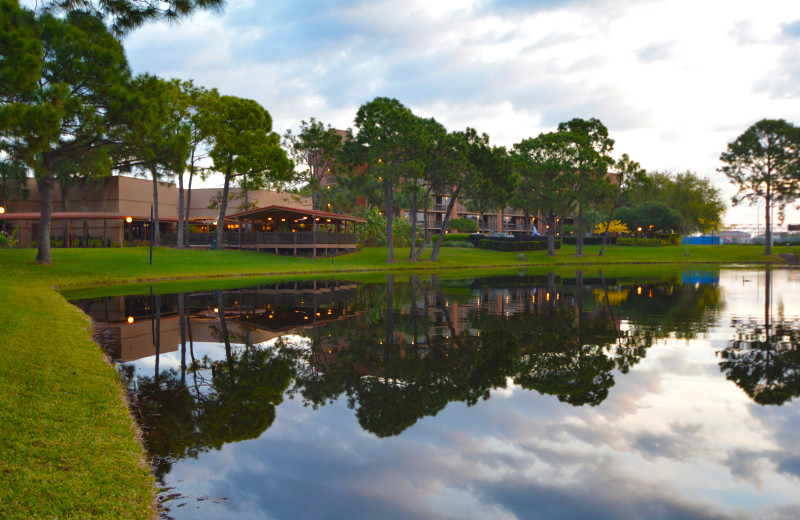 Lake at Rosen Inn Lake Buena Vista.