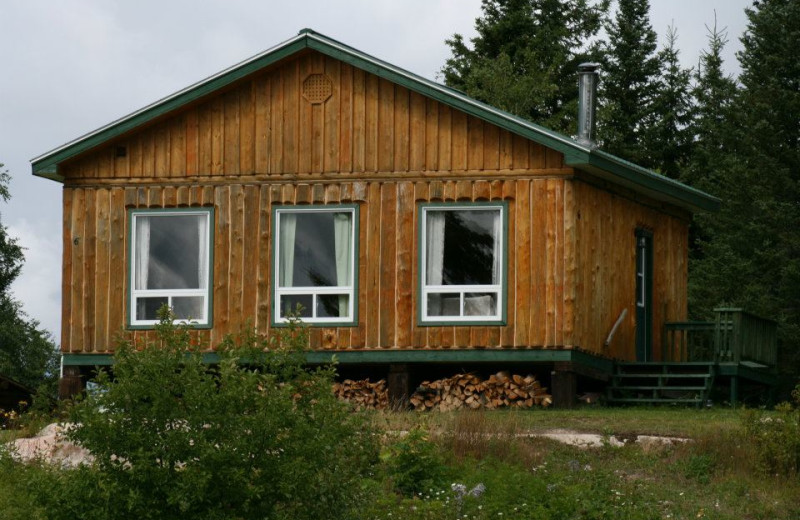 Cabin at Tatnall Camp