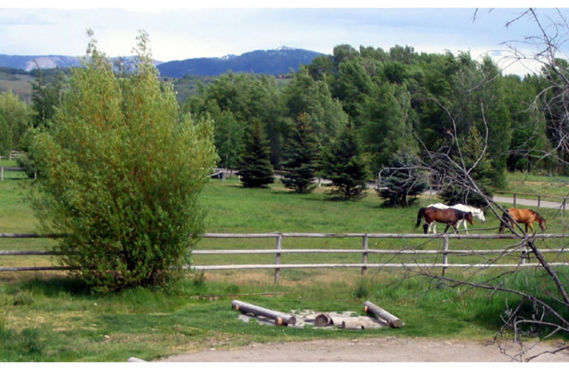 View from The Sassy Moose Inn.