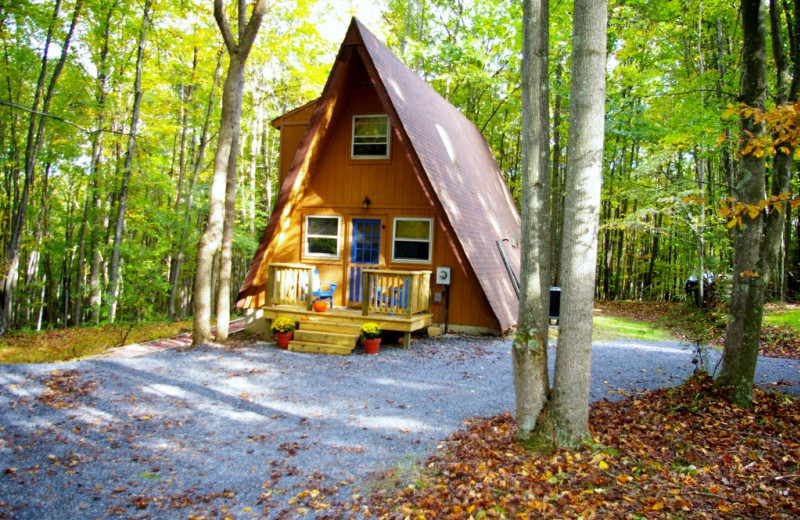 Berkeley Springs Vacation Rentals Cabin Ode To Joy Berkeley