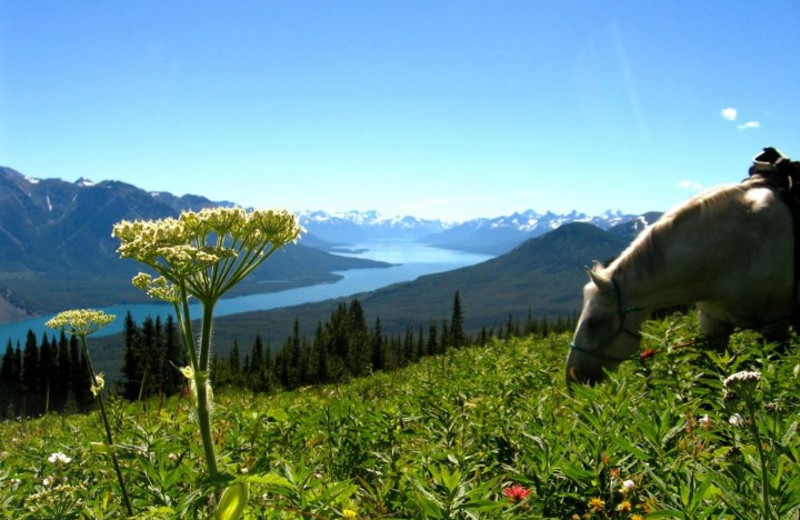 Scenic view at Ts'yl-os Park Lodge.