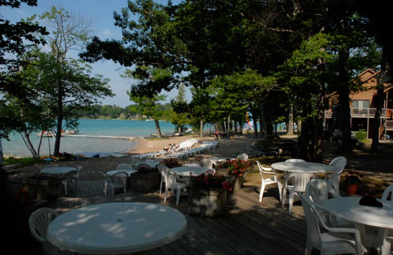 Patio view at White Birch Lodge.