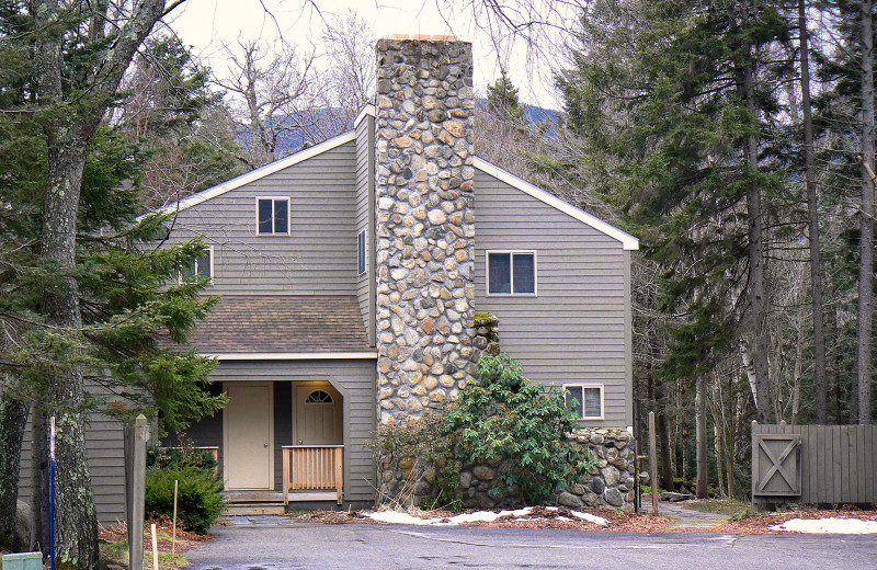 Exterior view of Snowy Owl Inn and Resort.