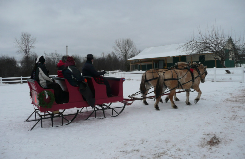 Horse carriages at Woodside Cottages of Bayfield.