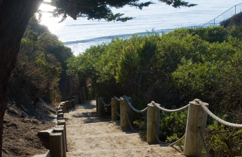 Path to beach at Dolphin Bay Resort & Spa.