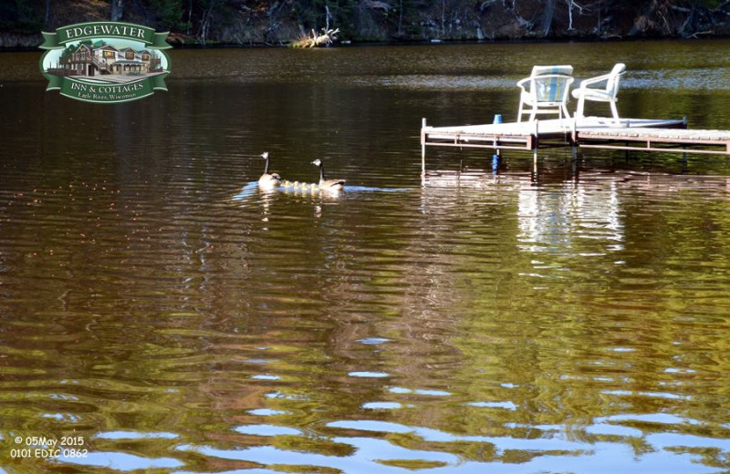 Dock view at Edgewater Inn & Cottages.