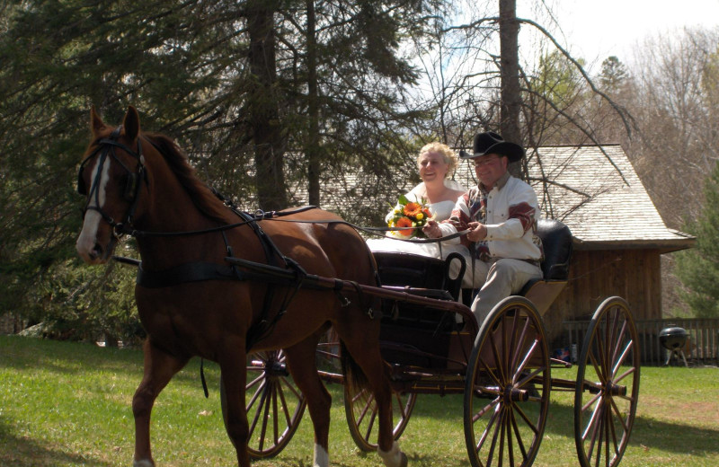 Horse carriage at Northridge Inn