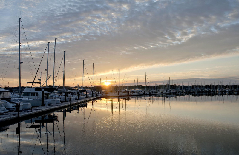 Marina at Osprey Point.