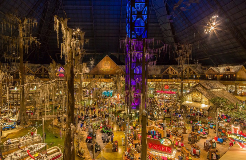 Shops at Big Cypress Lodge.