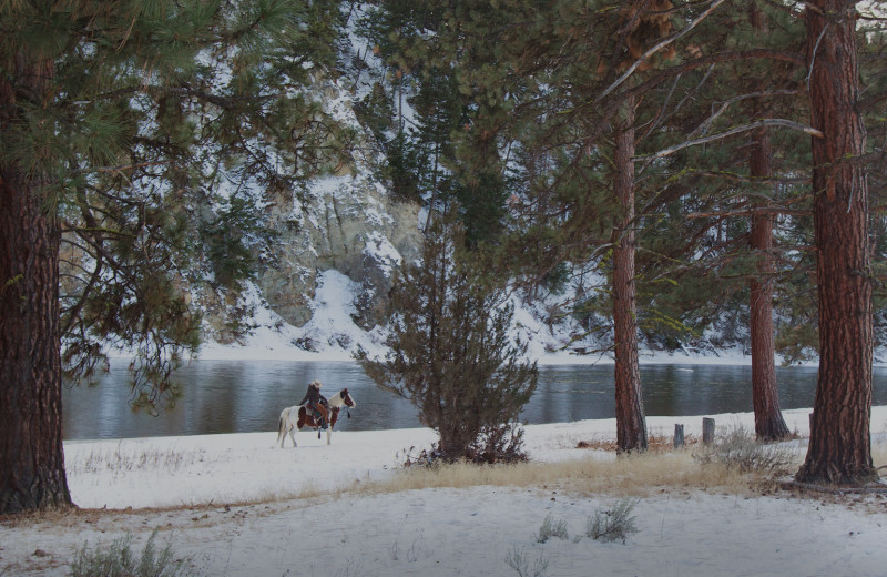 Horseback riding at The Green O.