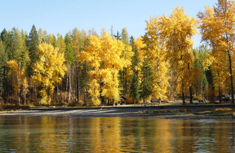 Fall colors at Five Star Rentals of Montana.