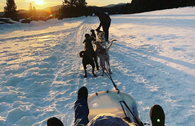 Dog sled at Unity College Sky Lodge.