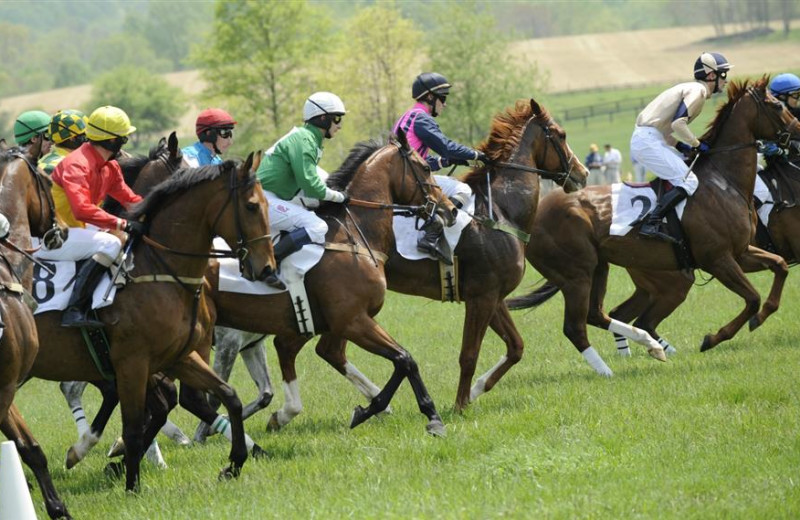 Horse racing at Salamander Resort & Spa.