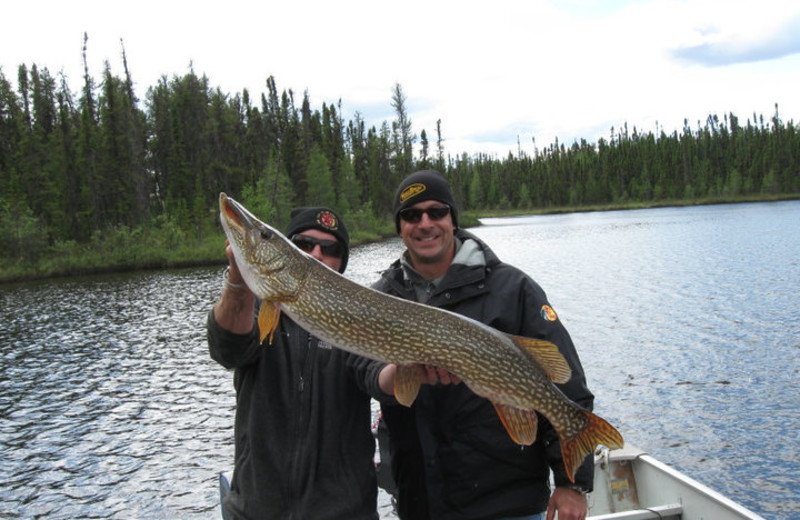 Fishing at Great White North Wilderness Lodges.