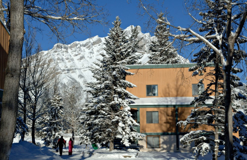 Exterior view of Douglas Fir Resort & Chalets.