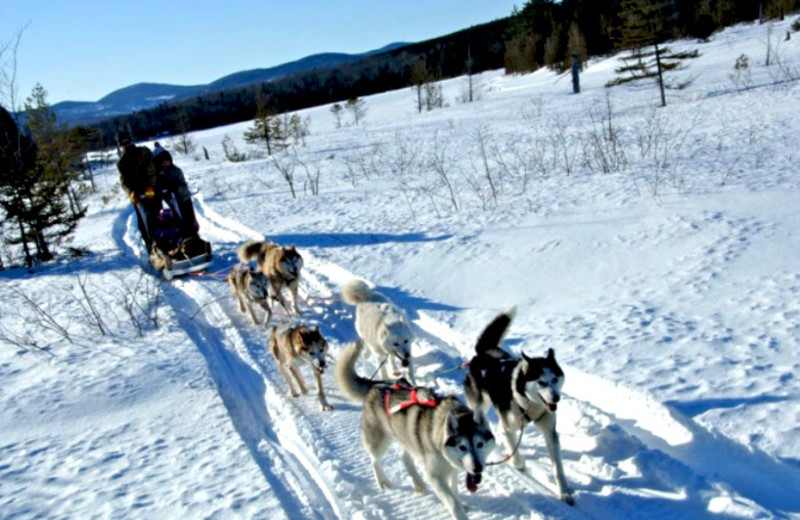 Dog Sled at West Branch Pond Camps