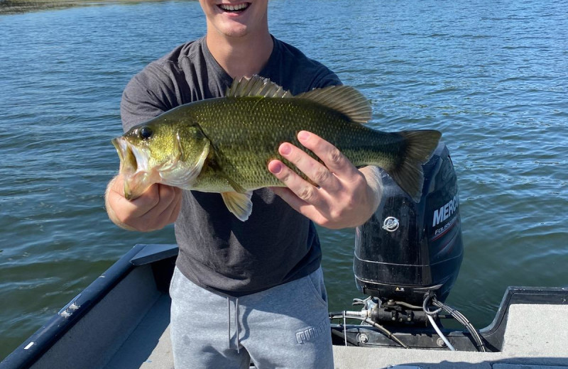 Large mouth, Crappie, Walleye, Northern, and panfish are plentiful on Fish Trap