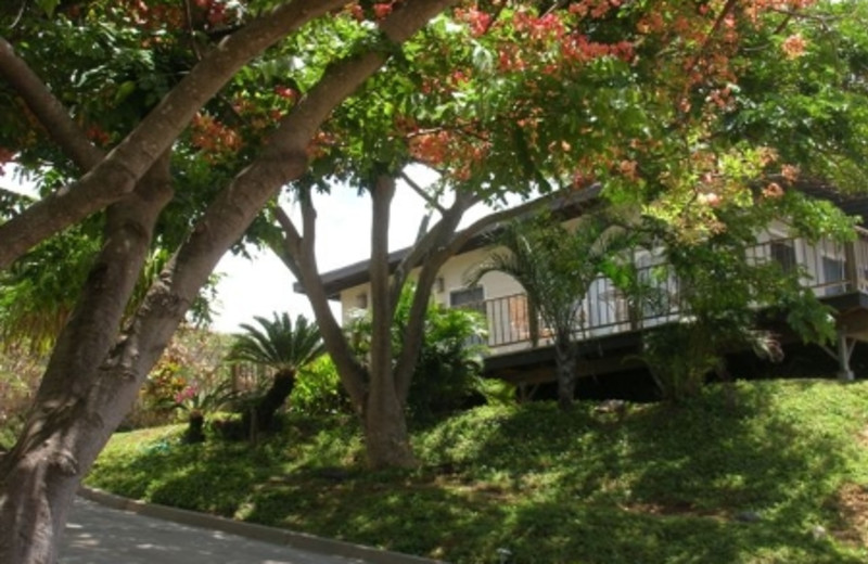 Molokai Hilltop Cottage (Kaunakakai, HI) Resort Reviews