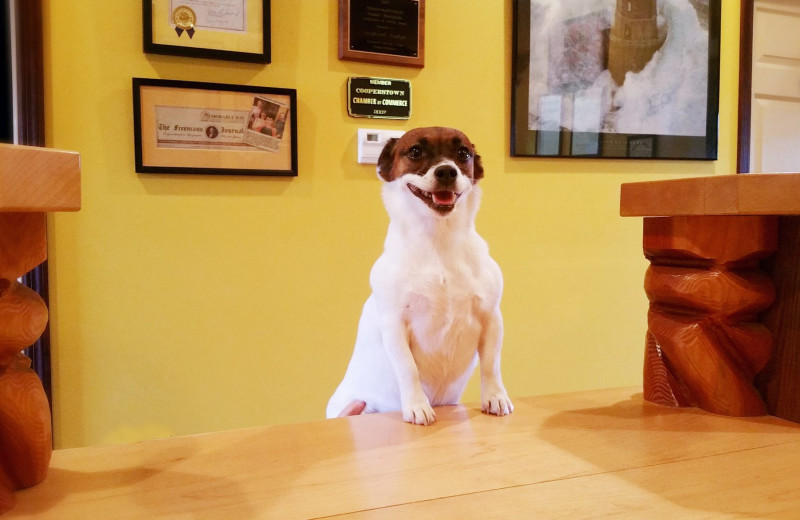 Lodge mascot at August Lodge Cooperstown.