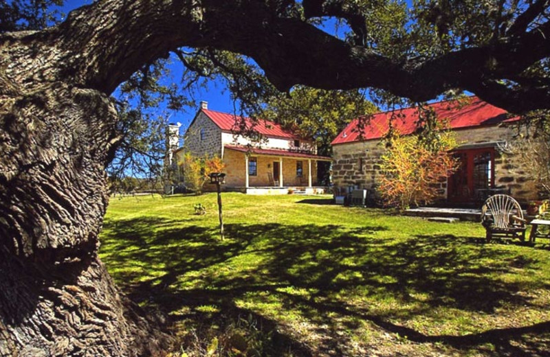 The Back Forty of Fredericksburg Ranch & Bed and Breakfast