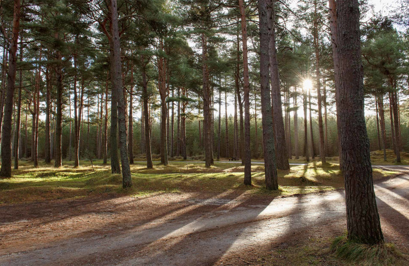 State parks near Kel's Kove.