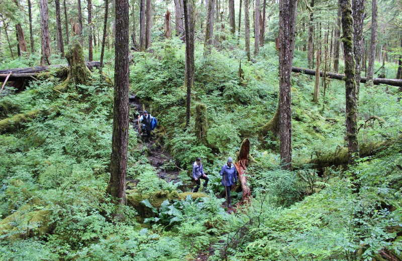 Hiking at Yes Bay Lodge.