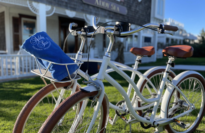 Bikes at The Addy Sea.