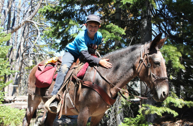 Horseback riding at Kendall Valley Lodge.
