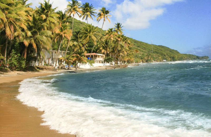 Exterior view of Caribe Playa Beach Resort.