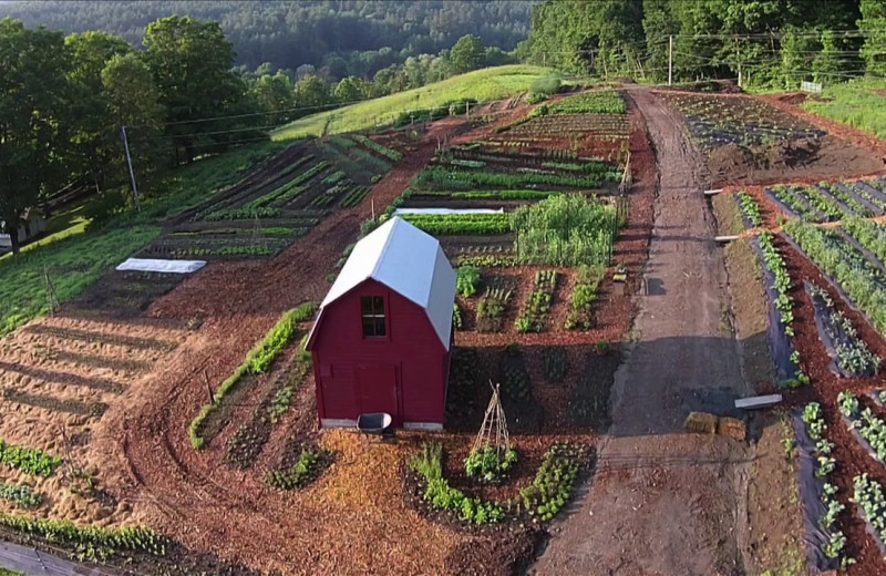 Farm near The Woodstock Inn & Resort.
