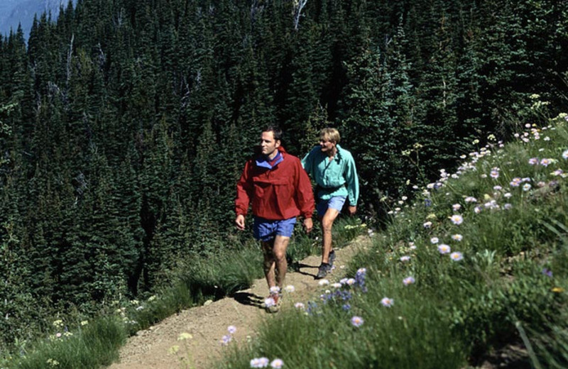 Nature hike at Tahoma Lodge.