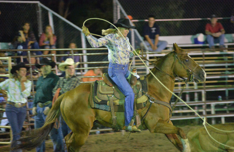 The Rodeo at Malibu Dude Ranch