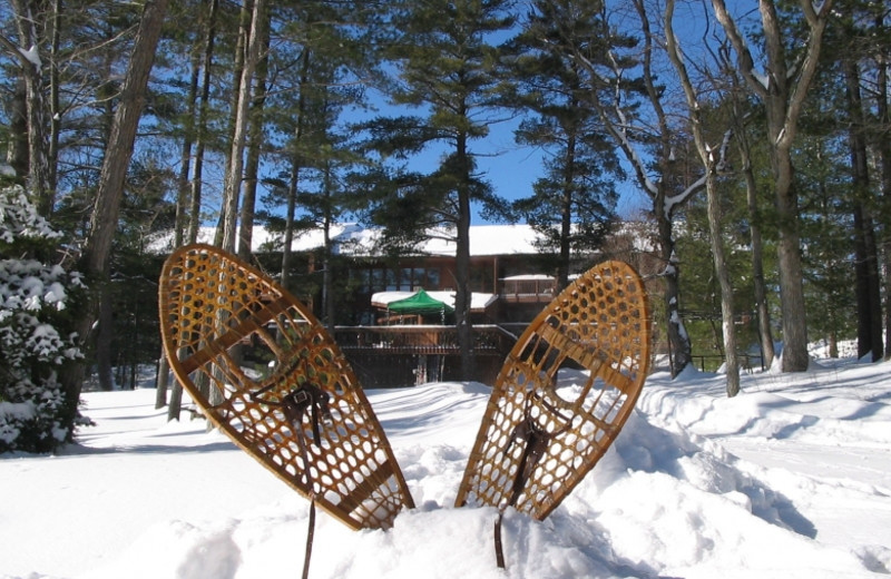 Snowshoeing at Westwind Inn on the Lake.