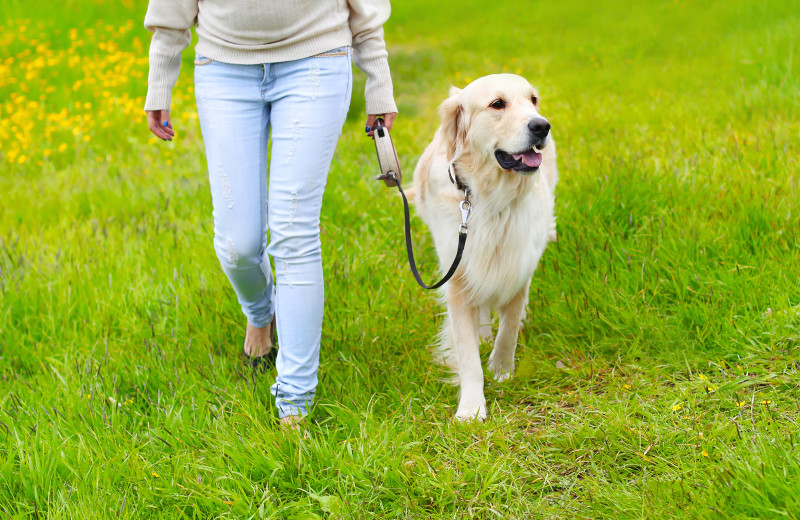 Pets welcome at Oak House On Lake LBJ.