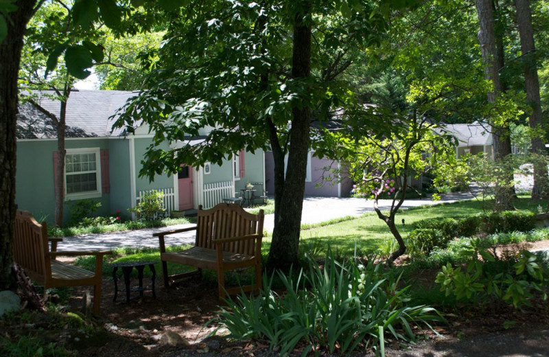 Garden view at The Garden Walk Bed & Breakfast Inn.