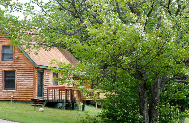 Cabin Exterior at Benjamin's Beaver Creek Resort 