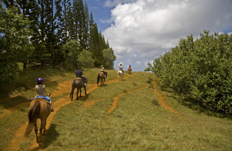 Horseback riding at Silver Spur Guest Ranch.