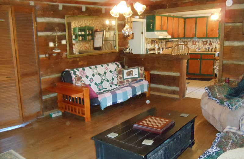 Cabin living room at Bear Trail Cabins.