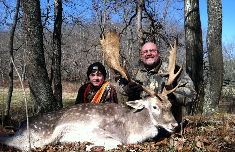 Fallow Deer hunting at Caryonah Hunting Lodge.