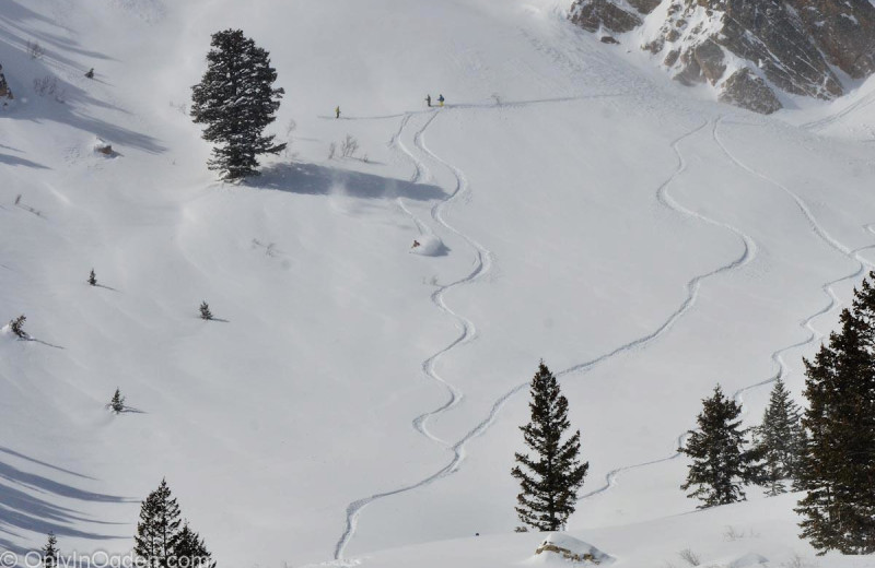 Skiing at Lakeside Resort Properties.